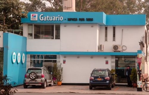 Gatuario Surco